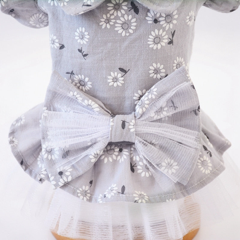 Pet Clothes