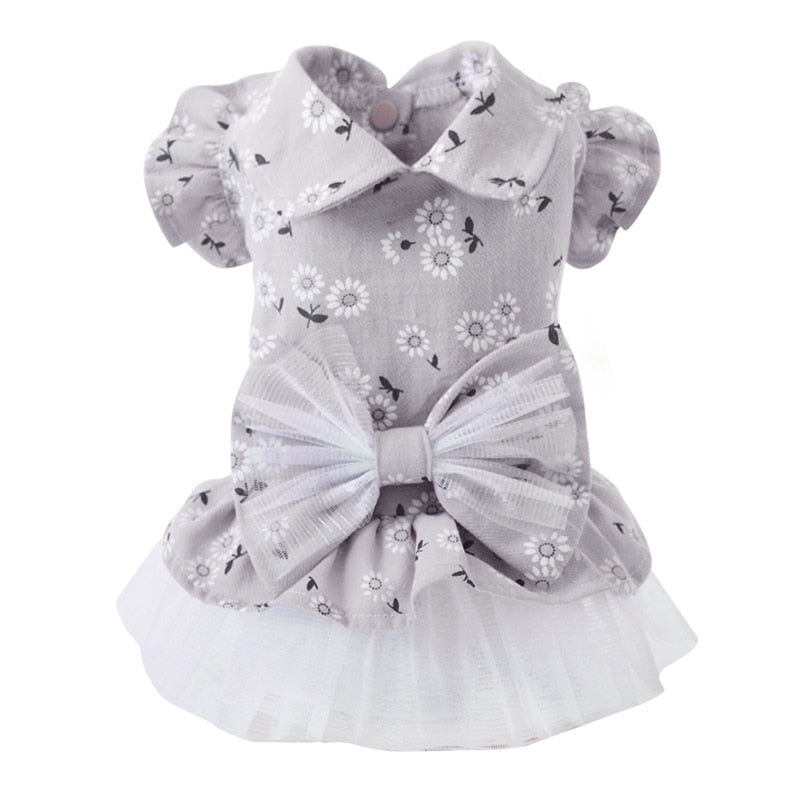 Pet Clothes