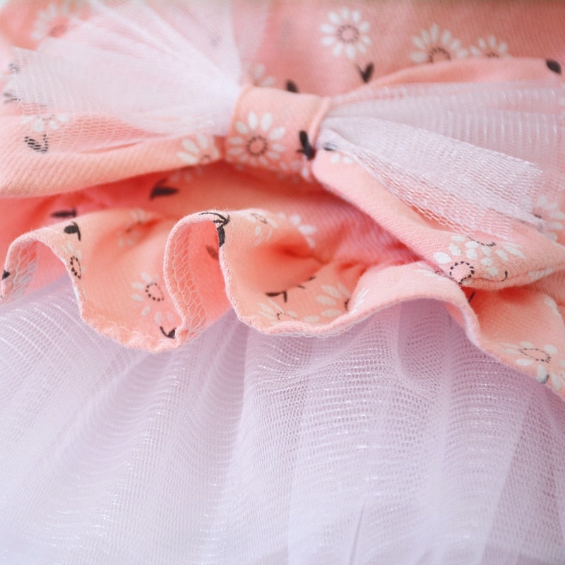 Pet Clothes