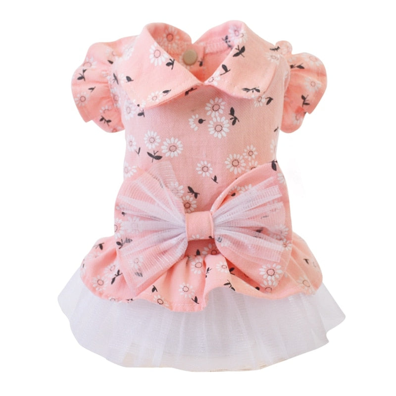 Pet Clothes