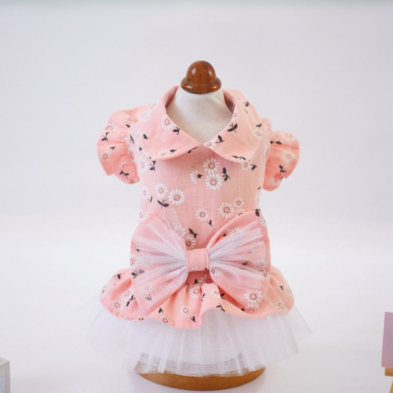 Pet Clothes