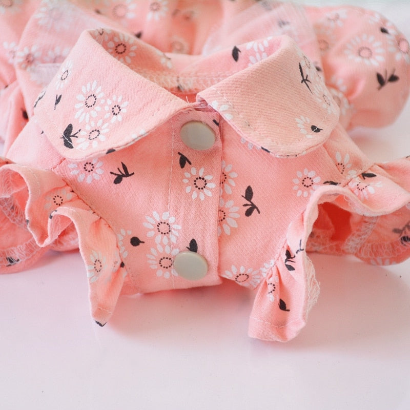 Pet Clothes