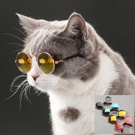 Pet Glasses Pet Products  Eye Wear Sunglasses Accessories