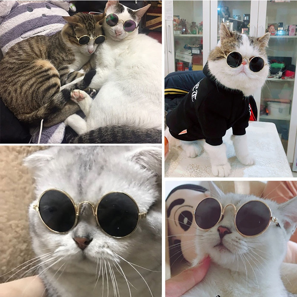 Pet Glasses Pet Products  Eye Wear Sunglasses Accessories