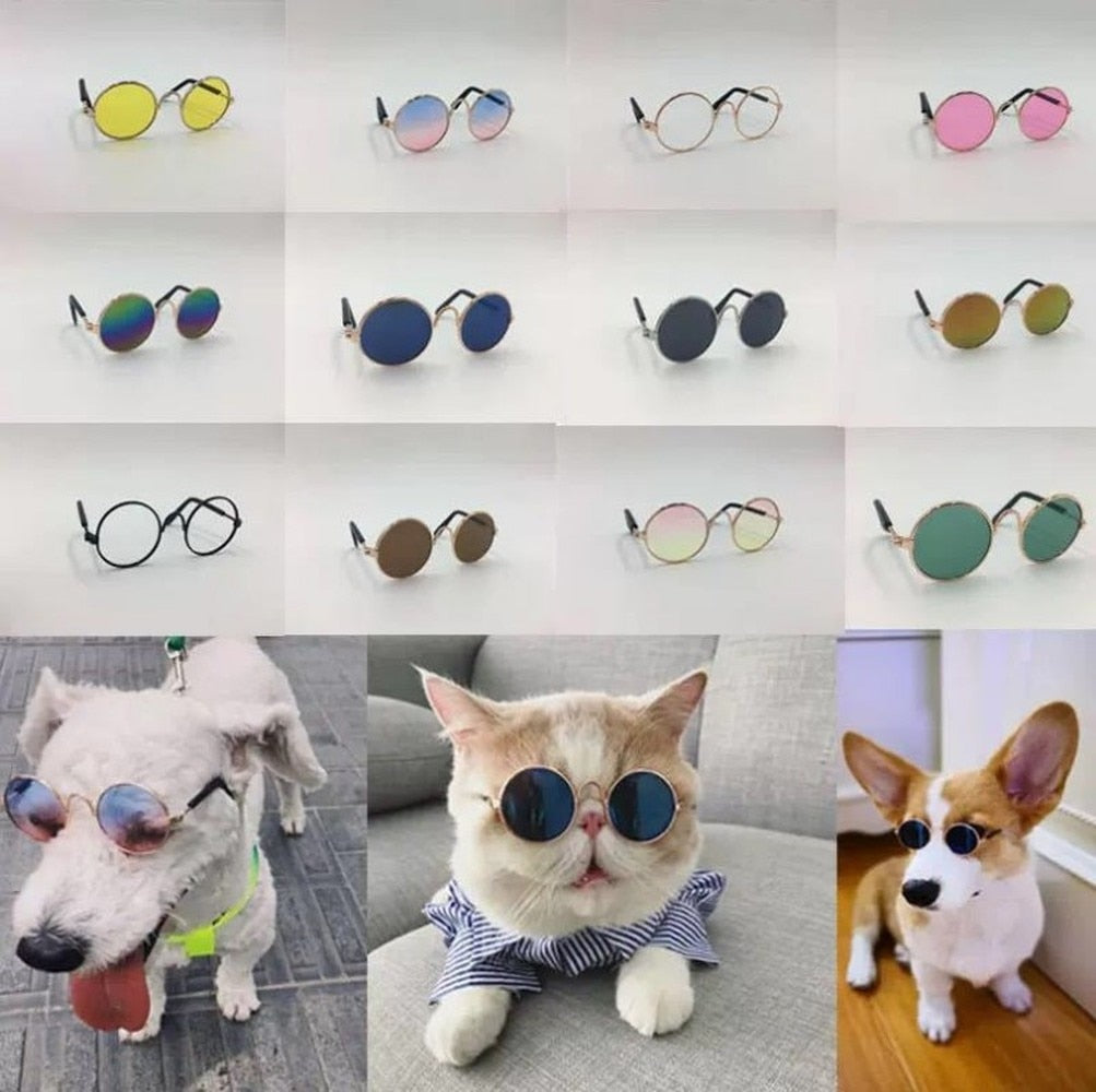 Pet Glasses Pet Products  Eye Wear Sunglasses Accessories